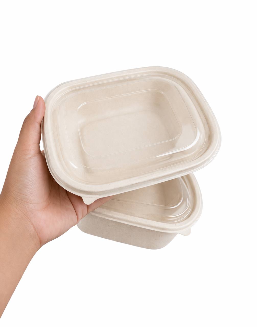 Single Box 850ML 220 X 170 X 40 (500 PCS Only)